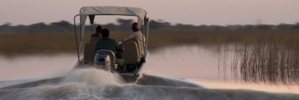 Speedboot Afrika Sumpf